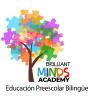 Brilliant Minds Academy